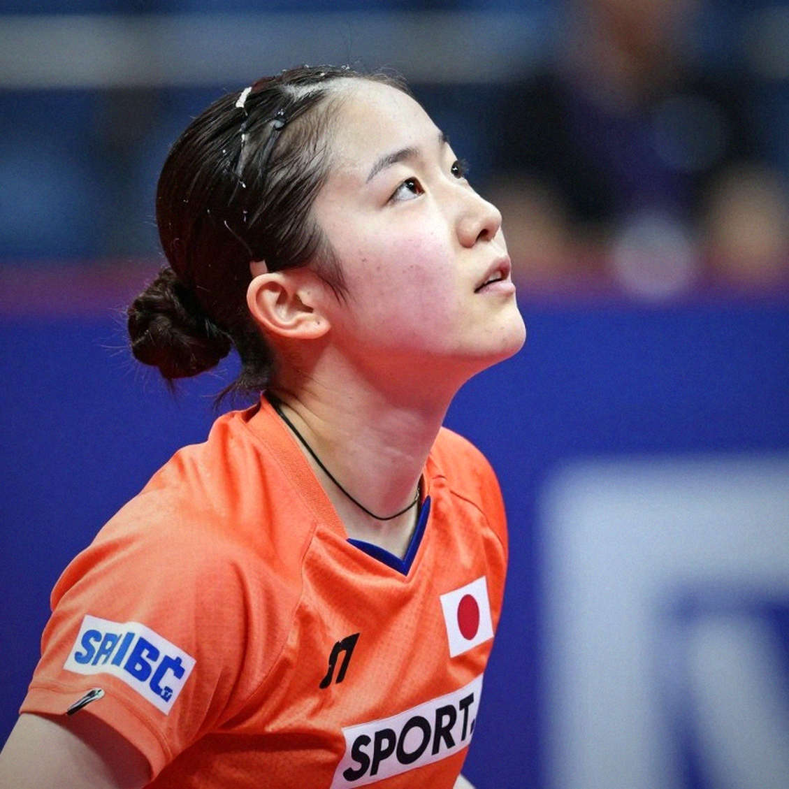 Sheffield và lớp trầm tích U12: Khi ITTF đào lại mảnh đất 2026