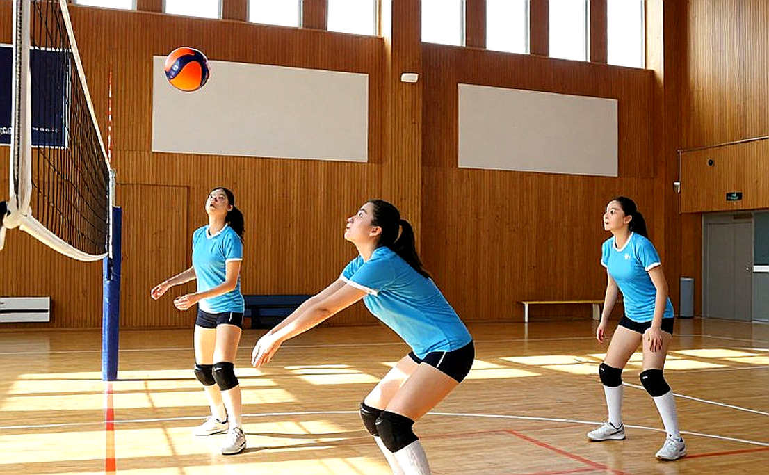 Bóng chuyền và kỷ luật xác minh dữ liệu: khi bảng thống kê trống