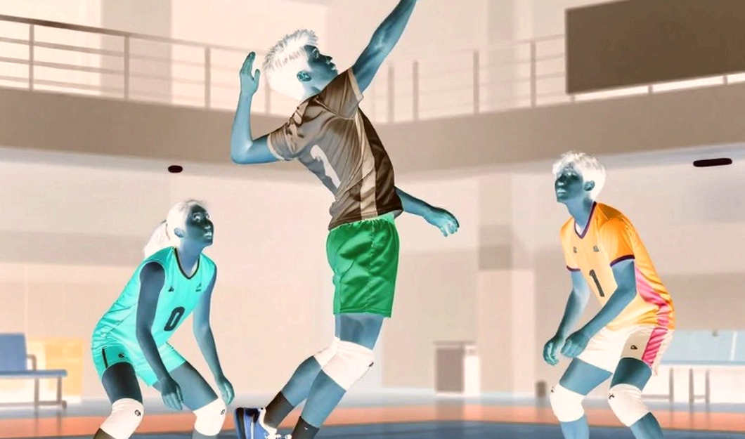 The Empty Data Sheet and the Limits of Numerical Volleyball Analysis The Empty Data Sheet and the Limits of Numerical Volleyball Analysis