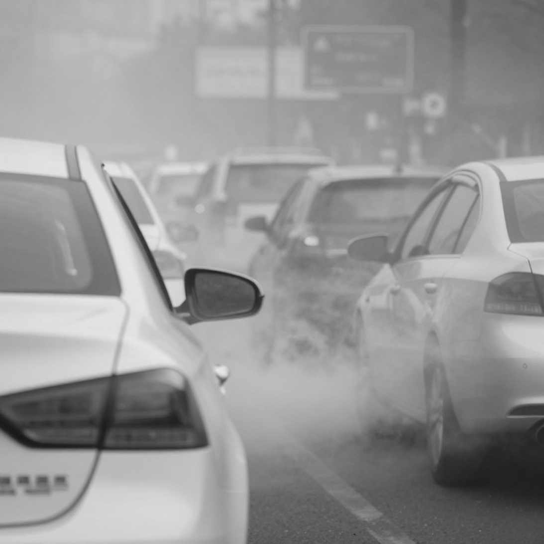 Nhãn 'quần vợt' trên một bản tin thuế: Khi đường ống dữ liệu thể thao tự lừa mình